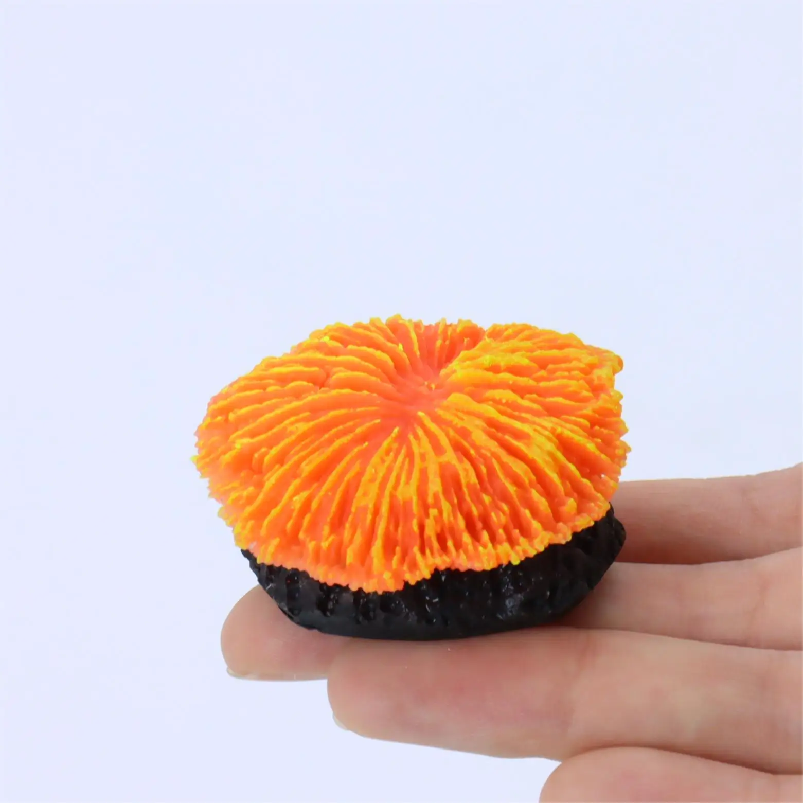 Saw Coral Decoration 2