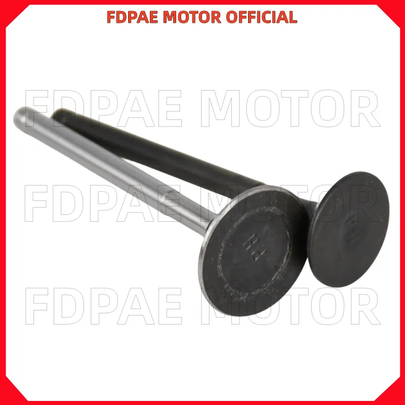 

Впускной/выпускной клапан для Wuyang Honda Wh125-13-13a-17c-17b