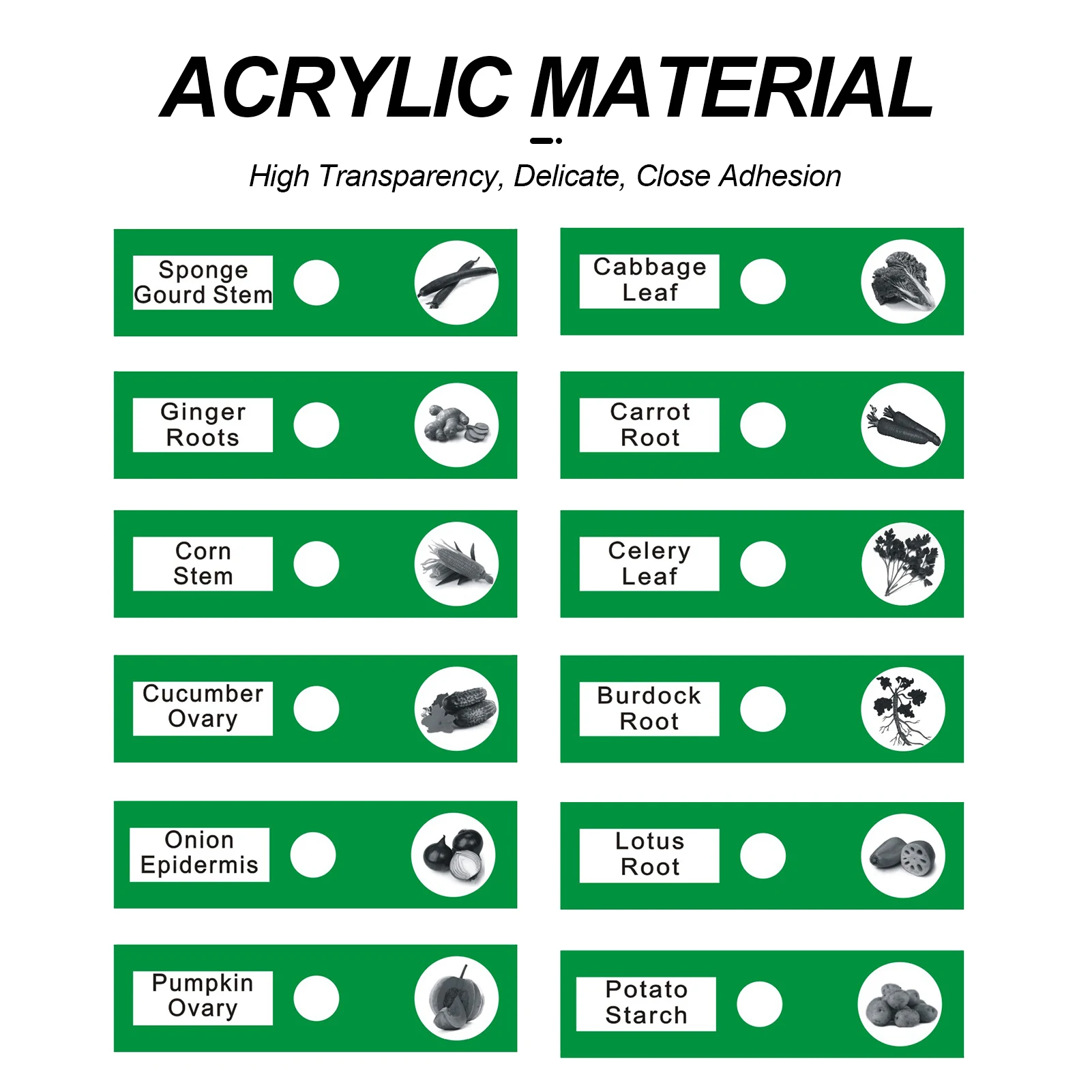 12pcs Kids Prepared Microscope Slides Of Animals Insect Plants Vegetable Sample Specimens For Stereo Microscopes Education Gift