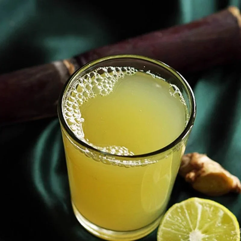 Stainless steel Manual sugarcane juice machine sugar cane juicer, cane-juice squeezer,sugarcane juice extractor machine 2