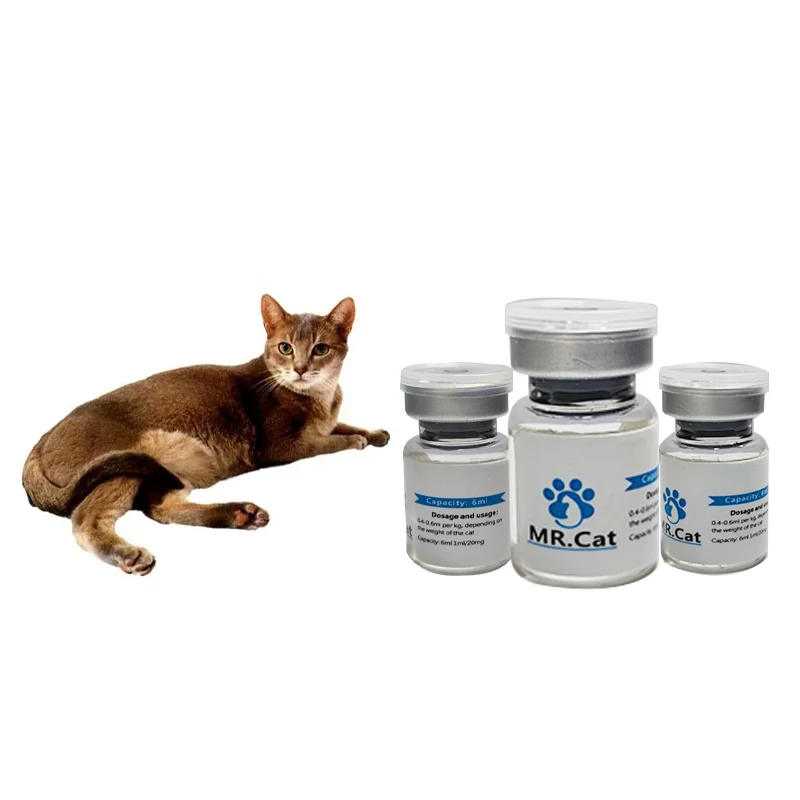 

Cat abdominal transmission inhibitor has no swelling