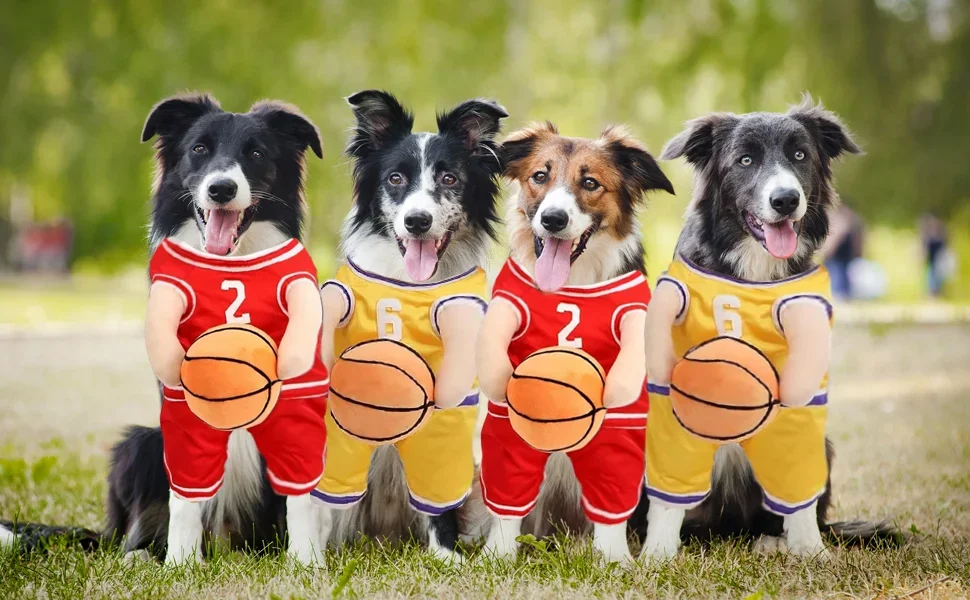 for Small/Medium/Large Dog Basketball Costume for Dogs