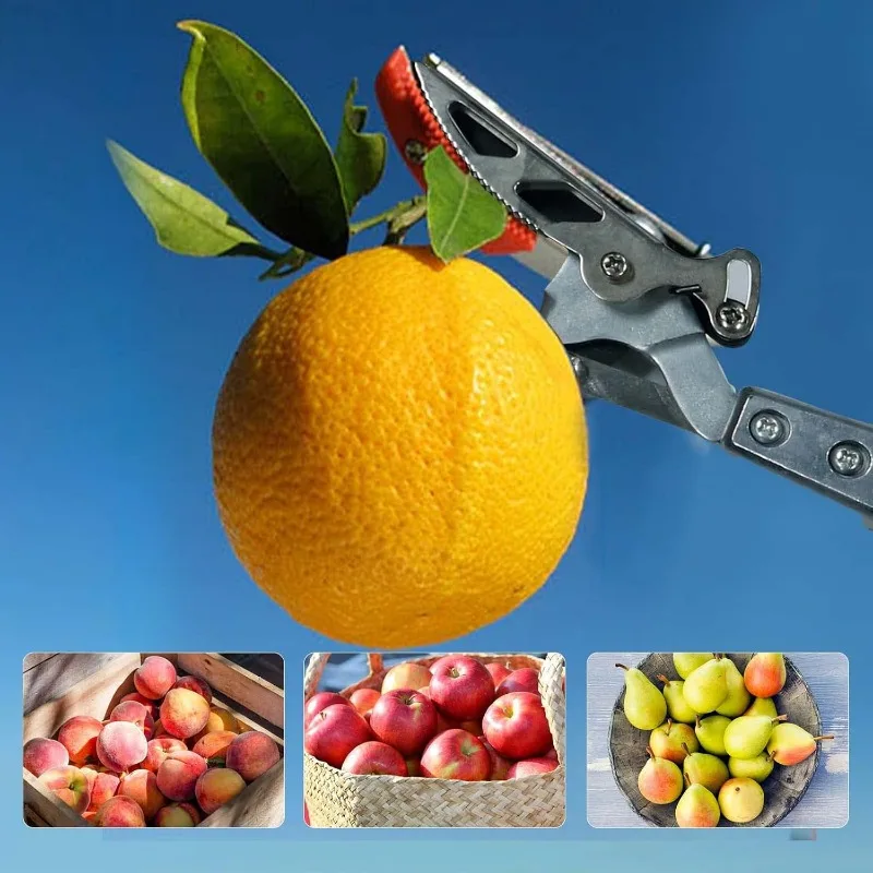 Aluminum Extendable Tree Pruner, 3.67-5.45 FT 6