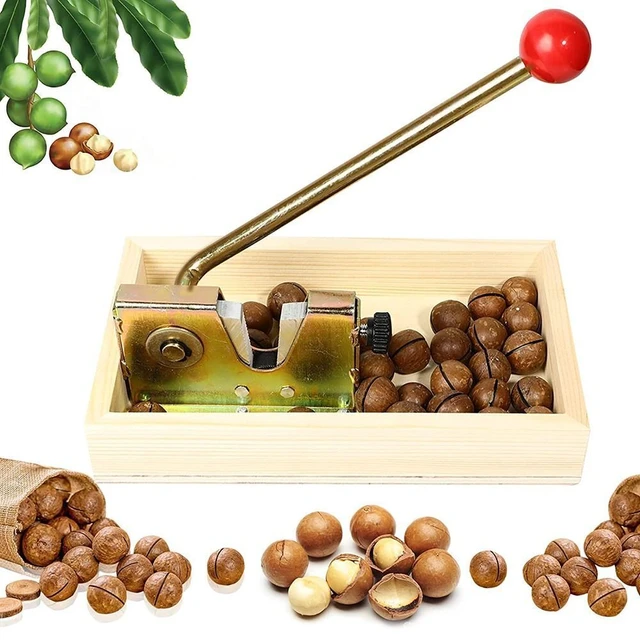 Schiaccianoci elettrico apri noci per impieghi gravosi apribottiglie per  noci di Macadamia strumento per Cracker di noci apribottiglie multiuso  nuovo 2023 - AliExpress