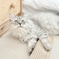 Oreiller et coussin à gratter, housse de lit en Sisal robuste avec coussin rempli, Base antidérapante, meubles doux et durables pour animaux de compagnie, 1 pièce 4