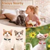 Custom Cat Collar PU Leather Cats Collars Necklace Safety Breakaway Pet Kitten Puppy Collars Anti-lost for Cats Free Engraved 5