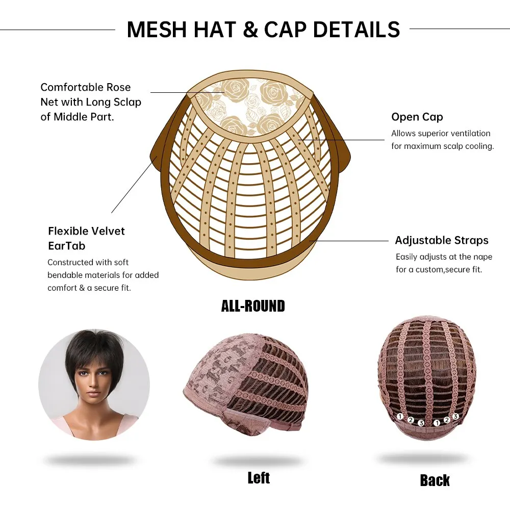  Ƚ   õ ռ ª  ̾  (ǫ ոӸ )   