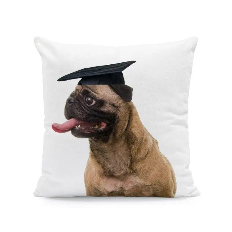 ��� ���� ���� �䳢 ������ Ŀ�� �۱� ����, ����ġ �ҵ�, �Ϳ��� ������ ����