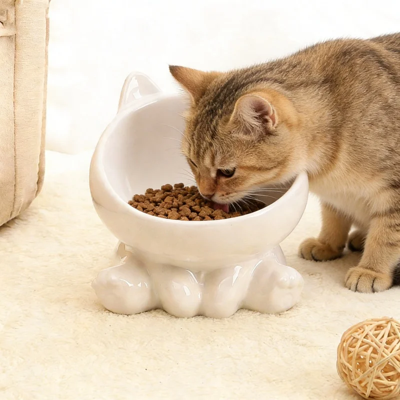 Ceramic Elevated Cat Bowl description 4