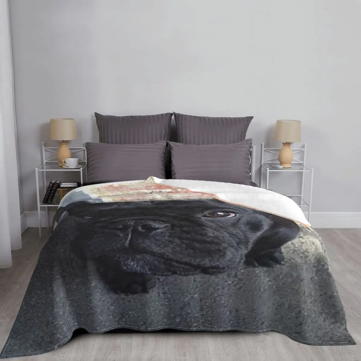 ������ �ҵ� ������ �Ϳ��� ������ ��� ��ȣ ���� �÷��� ��/���� �޴�� ����Ʈ ���� ��� Ȩ ���� ��Ʈ