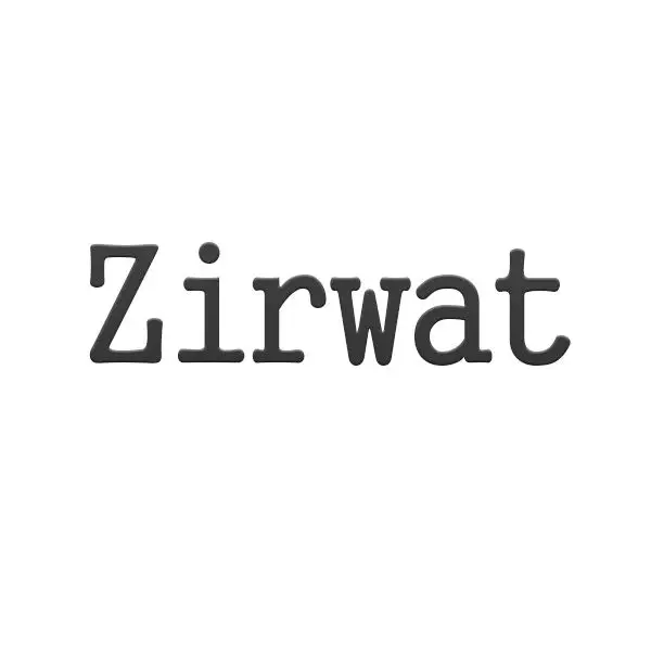 Zirwat Y2K Store