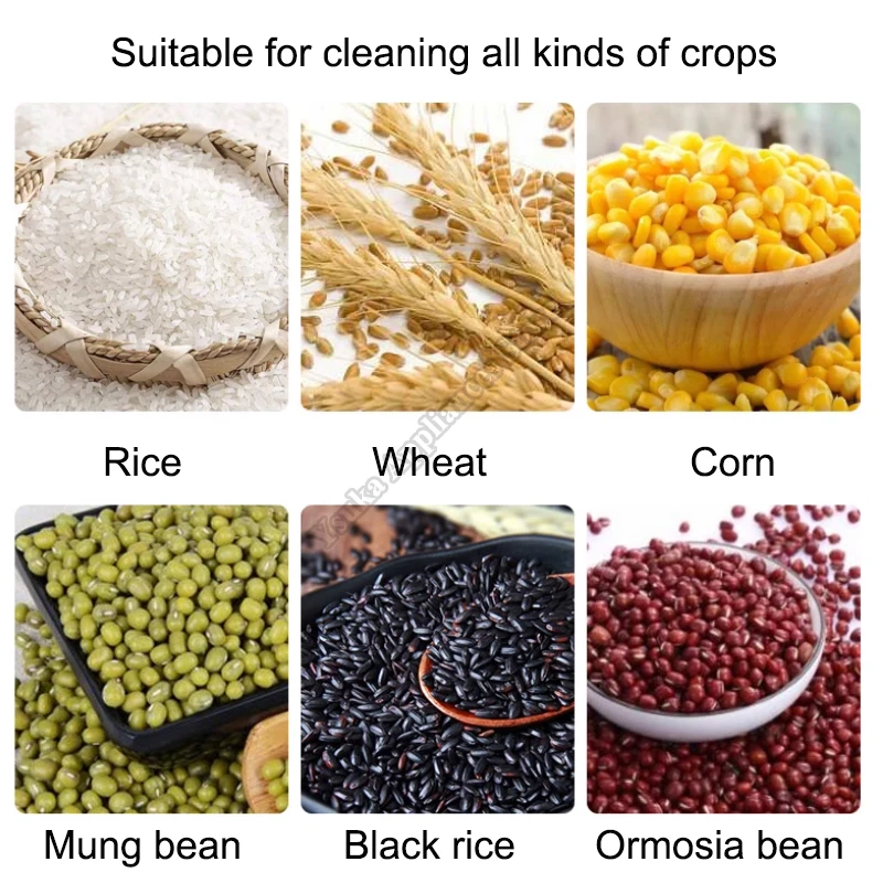 Rice Washing Machine Commercial Automatic Stainless Steel 25KG Large Hydraulic 110V/220V Corn Wheat Cleaning Maker 5