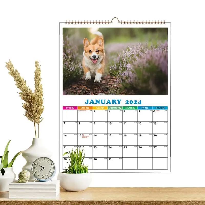 

Dog Monthly Calendar 2024 Funny Daily Cat Calendar A4 Wall Calendar Dog Calendar Daily Wall Decor For Apartment Dormitory