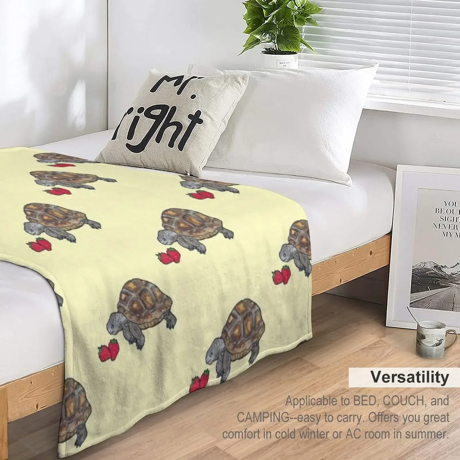 ���� �ź��� ������ ���, ���� ���� �̺�, �ʴ��� ������, ���Ÿ� �����̳� ���