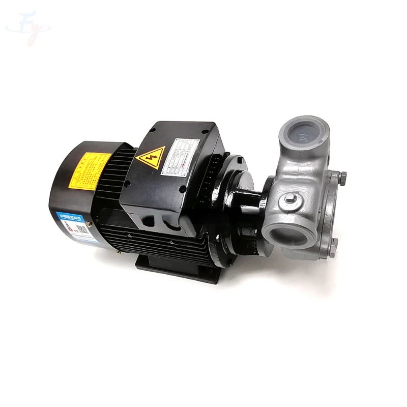 Fy 20 Qy 1 T/H Pompe Per Liquami Industriali Pompa Per Liquami, Pompa Per Miscelazione Di Liquidi A Gas Air Nano, Micro Bomba Bubble Spa Machine