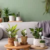 2/3/4/6Pcs Automatic Plant Watering Bulbs Self Watering Glass Balls Watering Device Drip Irrigation System For Garden Flower 2
