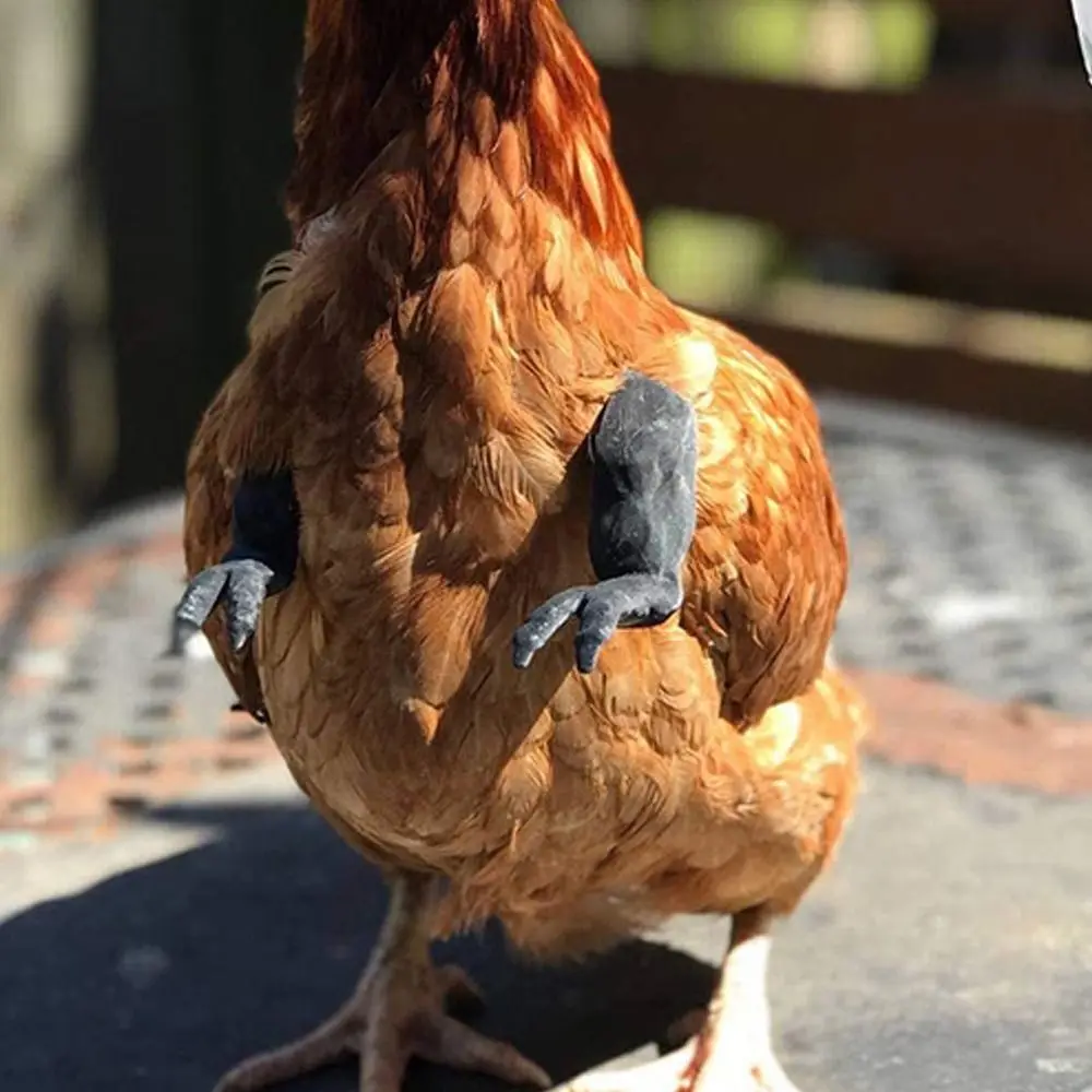 재미있는 싸우는 닭 팔 장난감 거대 팔 헐크 팔 근육 팔 착용 신기한 인공 닭 전지 팔 애완동물 테마 파티