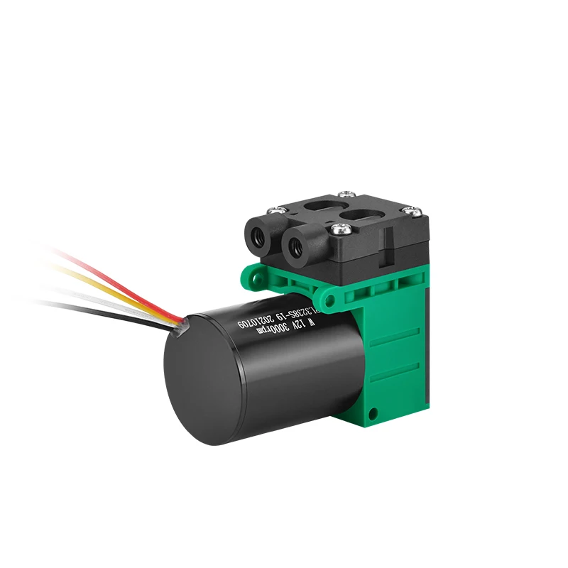 PENGPU DC 브러시리스-75KPa 진공 펌프, 부식 방지 펌프, 12V/24V DC 브러시리스 VOC 샘플 펌프, 2.2LPM