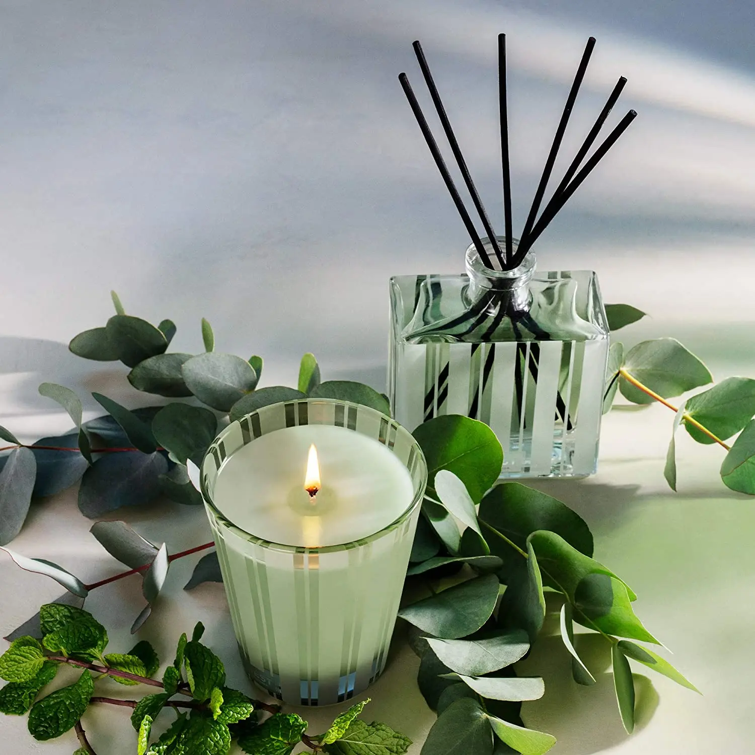 Reed Diffuser Refill Sticks Essential Oil Diffuser 50/100pcs Fiber Stick Diffuser Aromatherapy Supplement Core