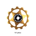 13T gold