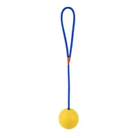 Dog Ball with Rope Interactive Dog Toy Pull and Throw Toy for Small Dogs Indoor Outdoor Exercise Play 1
