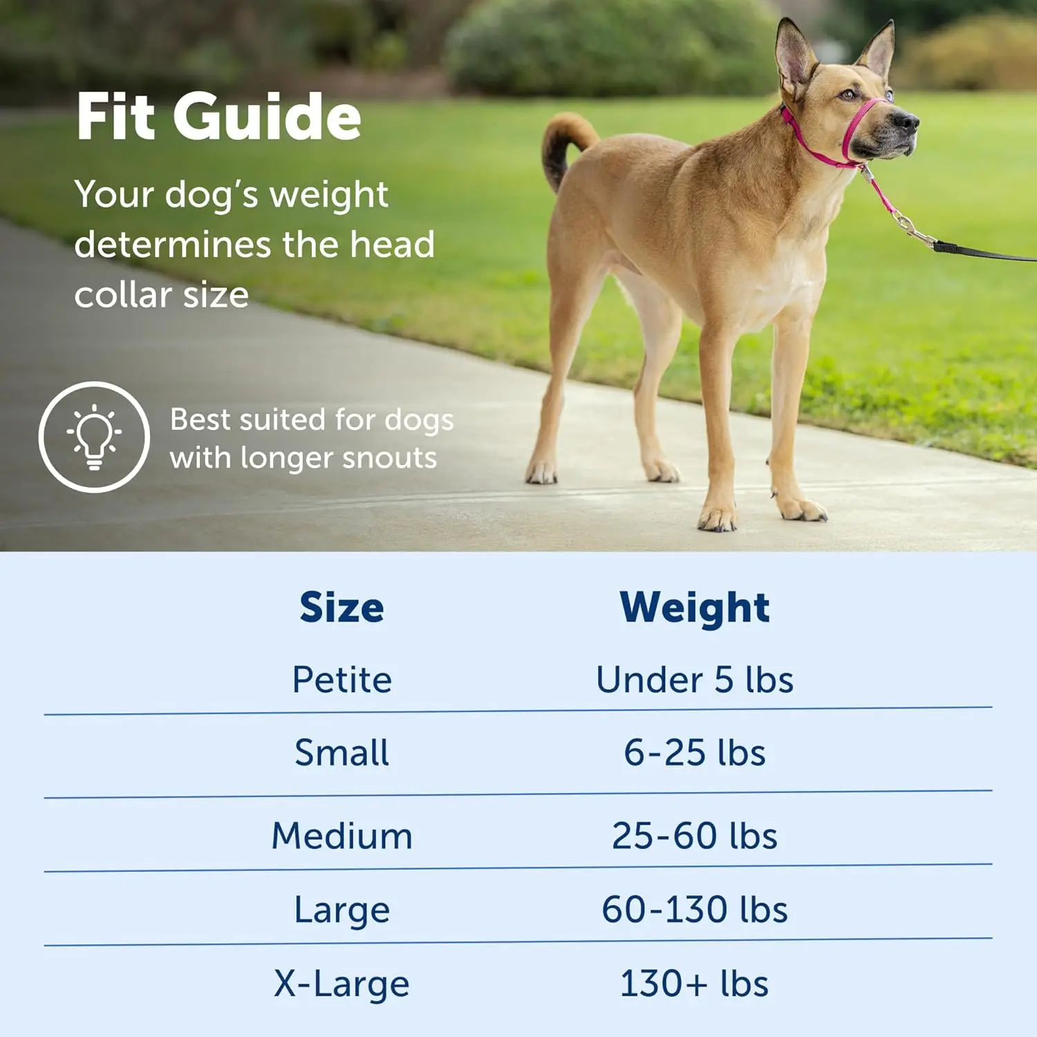 Zhenjia Hot Selling New No-pull Dog collar Adjustable Anti-barking Biting Mouth Cover Dog Mouth Collar Mouth Mask