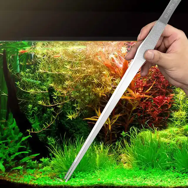 Akvárium Csipeszek Extra Hosszú, 15 Hüvelykes Élő Rozsdamentes Acél Egyenes És Ívelt 38 Cm Hosszú - Image 3