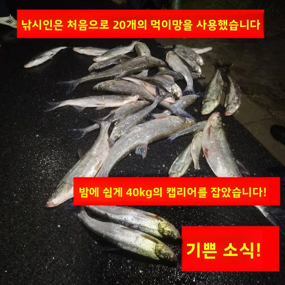 정밀 낚시 미끼 가방 옥수수 원거리 투척 입자 미끼망 가방 낚시용 특수 도구 매운 새우 낚시용