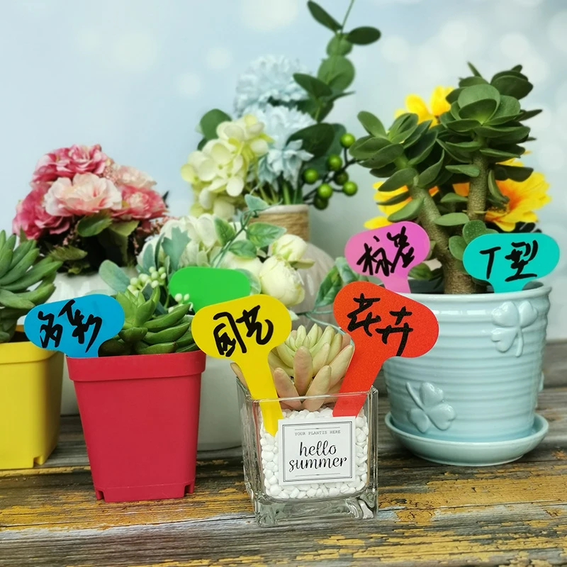 100pcs Garden Labels Plant Classification Sorting Sign Tag Ticket Plastic Writing Plate Board Plug In Card Colorful garden labels