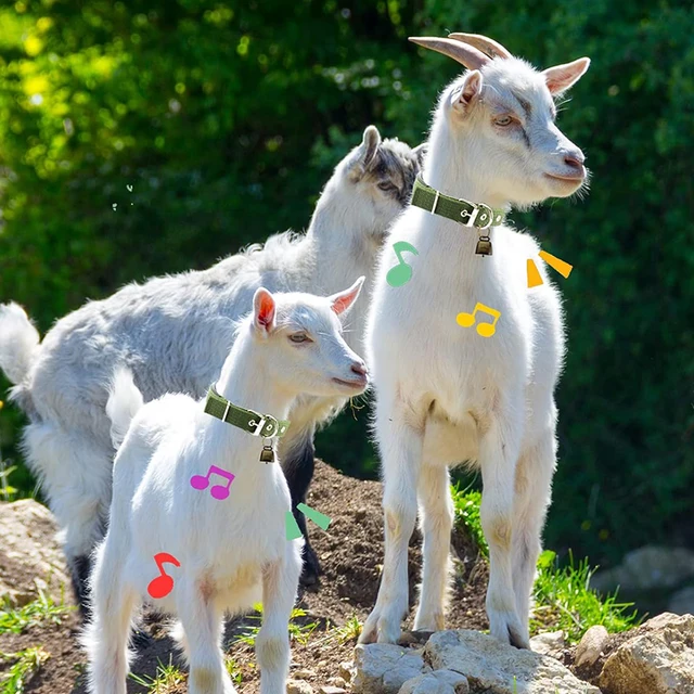 3 Pack Goat Collar with Bell Grazing Copper Bells and Adjustable Nylon Collar Set for Small Farm Animal Sheep Cow Pet Goat green 3