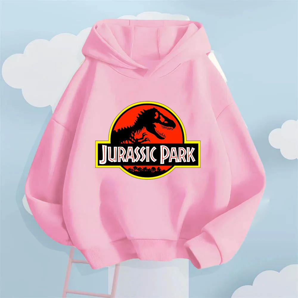 Prehistoric Cool Style! Jurassic Park Dinosaur Kids' Hoodie, Taking Children to the Thrilling Dinosaur World 3