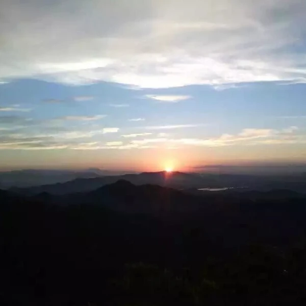 Shop1103232199 Store