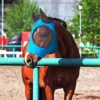 Breathable Horse Mask Summer Goggles Mosquito Ears Comfortable Fit with UVProtection Mesh Horse Fly Mask Equestrian Supplies 3