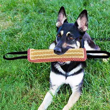 Dog Tug Toy Pet Bite Jute Tug Pillow With 2 Rope Handles Medium Large Dogs Training Toys for Malinois Pet Interative toy 4