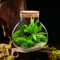 Desktop Micro-landscape Bottle Vase Empty DIY Cork Plant Terrarium Decorative Landscaping Container Glass Jar with Lid 2025 NEW 1