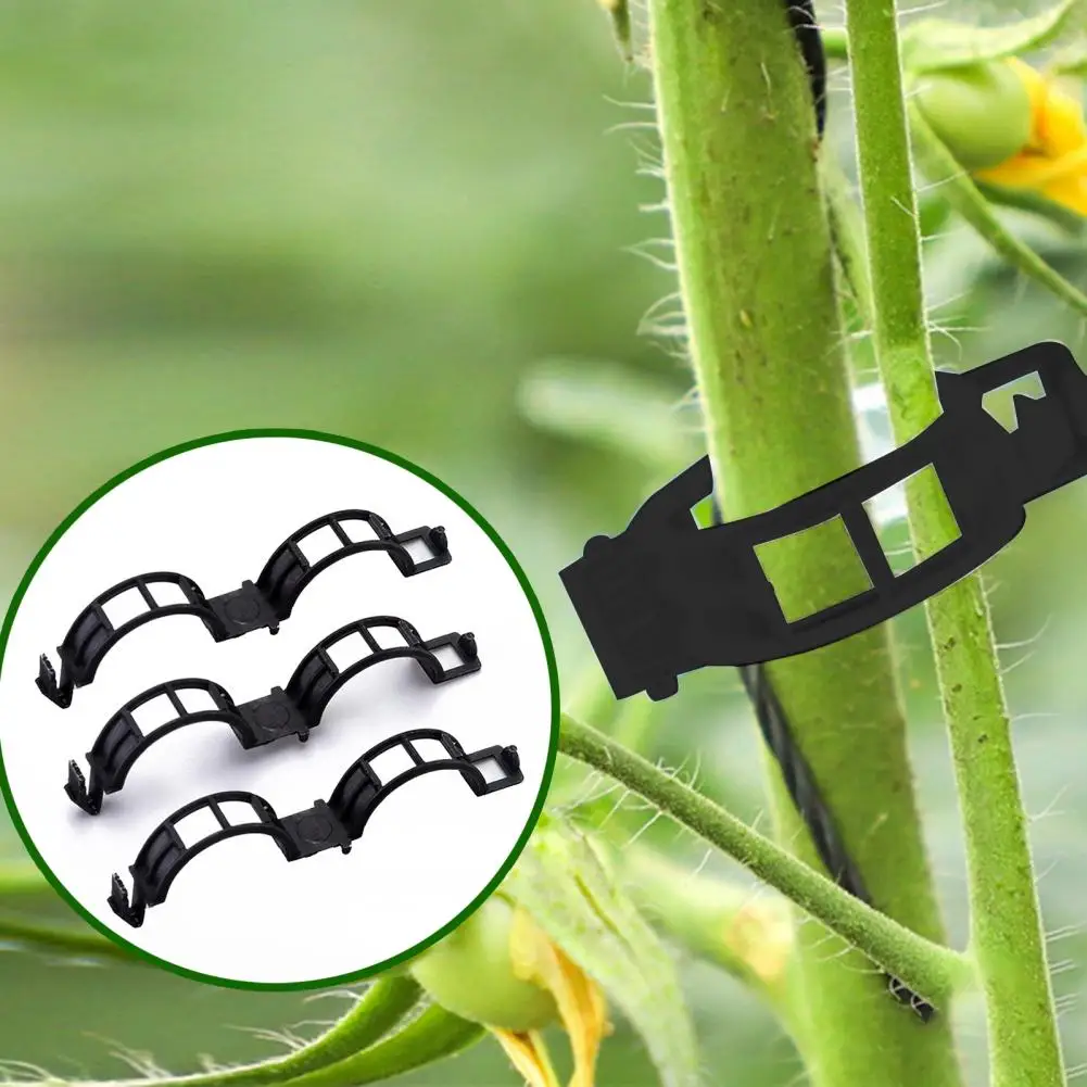 

Quick Opening Tomato Clippers Plant Support Clips for Vertical Gardening Easy-to-use Plastic Tomato for Climbing for Garden