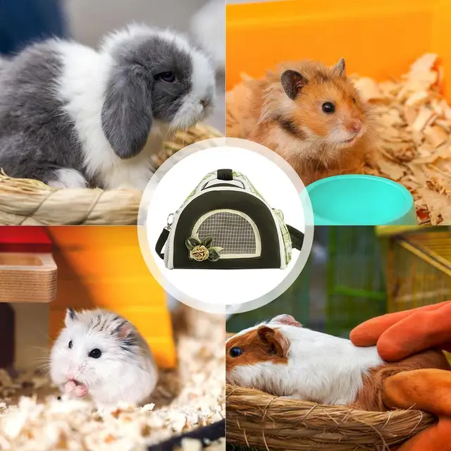Durable Hamster Carrier Portable Guinea Pig Travel Transport Cage For Small  Animals:Home Garden