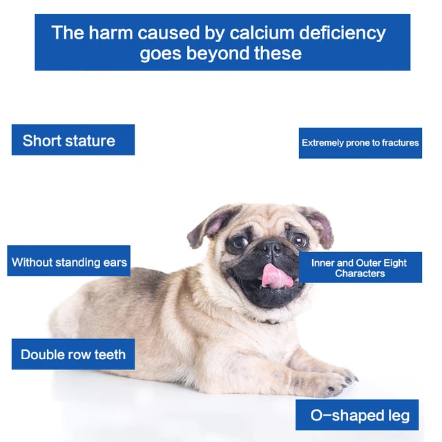 Dog Calcium Tablets: General Health Calcium Supplement for Large Dogs