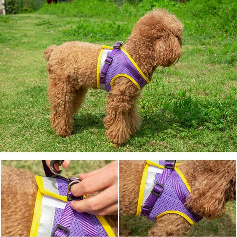 Dog Harness Vest Set for Small Medium Dog Harness Leash Puppy Cat Reflective Chest Strap Chihuahua Yorkies Walking Lead Leash pet harness leash set pet harness set pet leash set