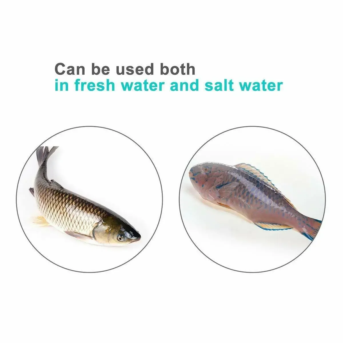 Description Picture 6 of item12V 30W LED Fishing Light 126LEDs 2835 SMD Brightness Waterproof Fish Finder Lamp Blue Green White Light Fishing Fixture