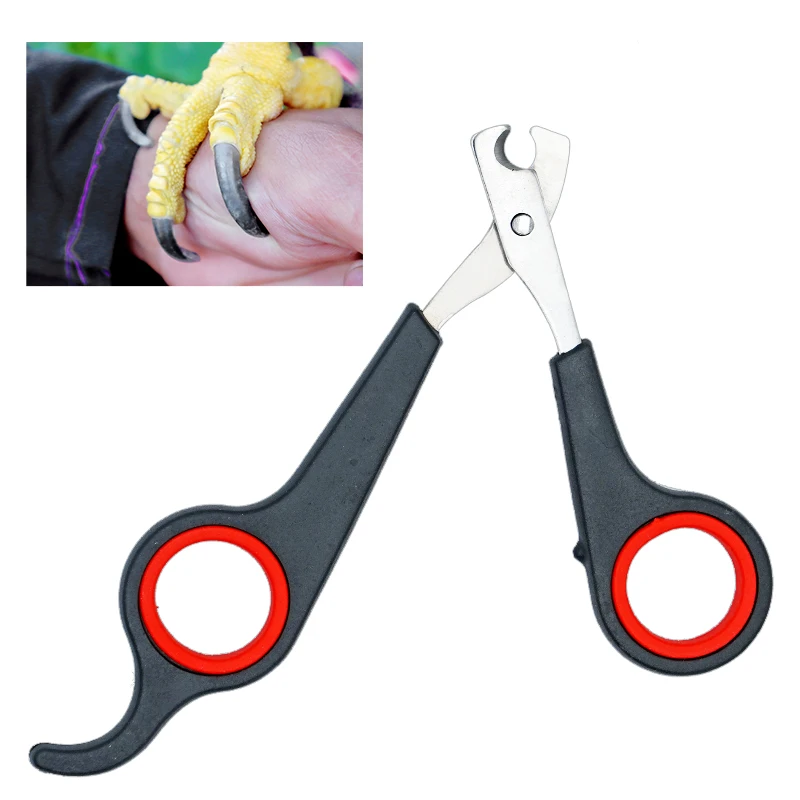 Pet Nail Claw Grooming Scissors Clippers for Small Animals Bird Parrot Grooming Tool Nail Scissors Clipper Black and Red