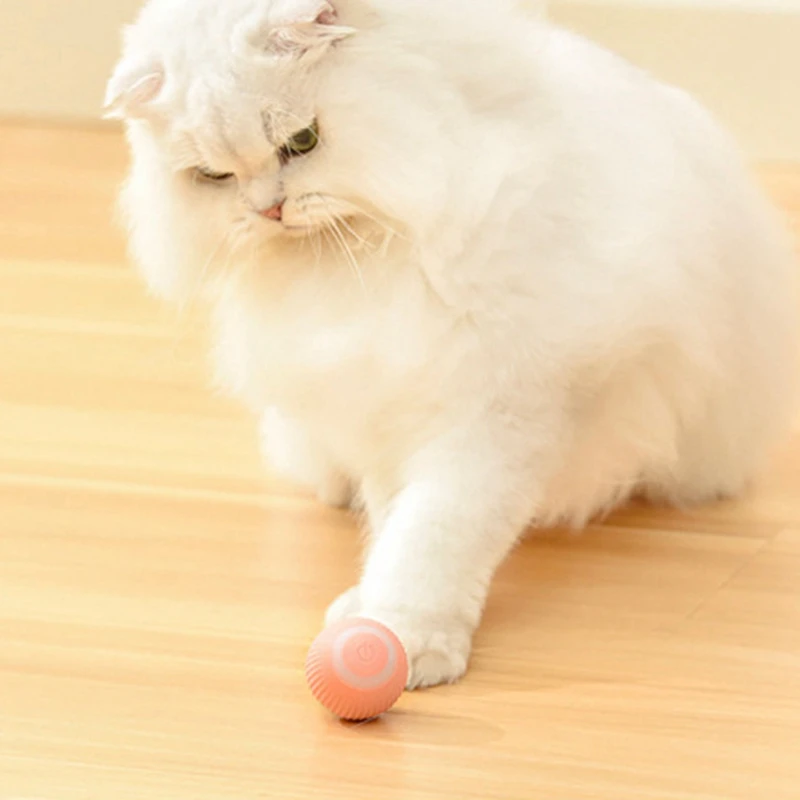 스마트 고양이 장난감 자동 360 ° 셀프 롤링 볼, 고양이 훈련용 전기 고양이 장난감, 자체 이동식 새끼 고양이 실내 놀이용 장난감