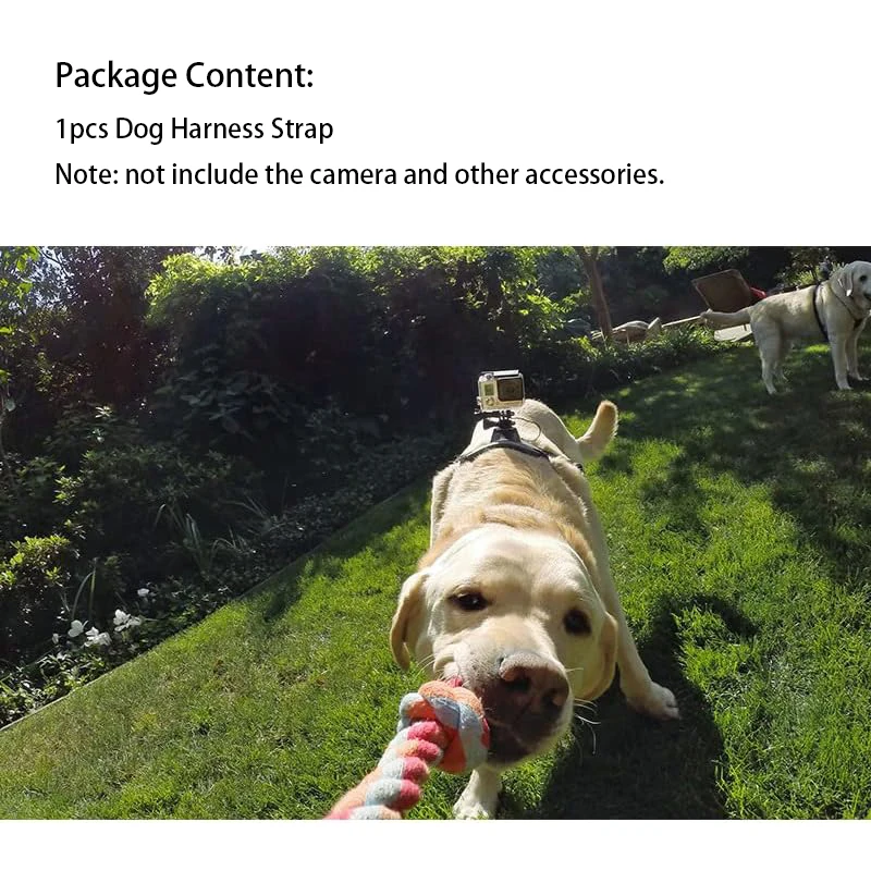 Dog Harness For GoPro - Adjustable Camera Mount For Chest & Back Filming
