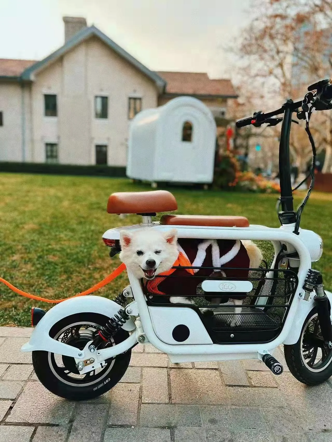 Good Price Electric Scooter Bike with Pet Carrier Scooter Pet Electric Citycoco for Dog Catcustom