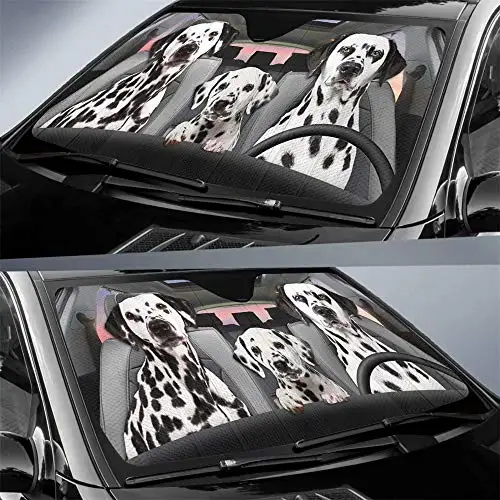 Рисунок 2 - Автомобильный солнцезащитный козырек