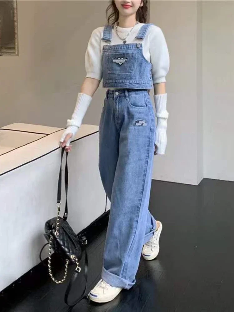 【美品】AMERI VINTAGE DENIM SWEAT OVER TOP Ameri（アメリ）の「DENIM SWEAT OVER TOP（スウェット）」 - WEAR