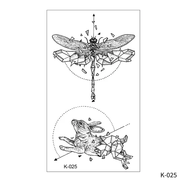 Image 31