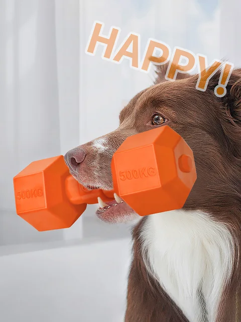 1 TPR material barbell pet nibbling training toy for playing and interacting with dogs 6