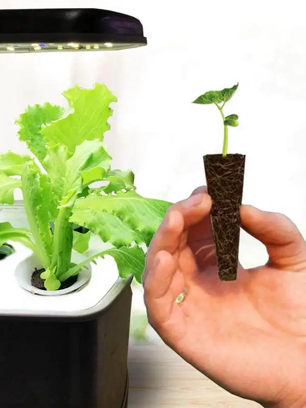 20Pcs Seed Grow Spugne Di Ricambio Spugne Per La Crescita Delle Radici Tappi Di Avviamento Per Piantine Semi Di Partenza Baccello Idroponico Piantagio