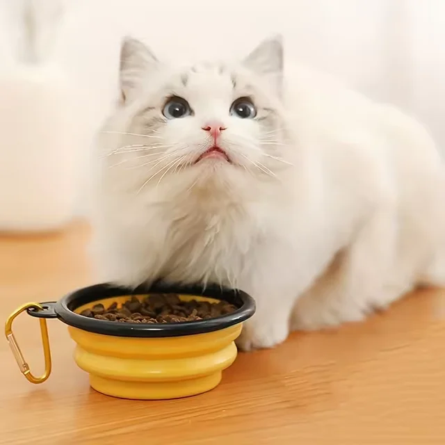 TPE dog bowl cat bowl wear-resistant and durable pet folding bowl travel outdoor drinking water feeding portable pet bowl 5